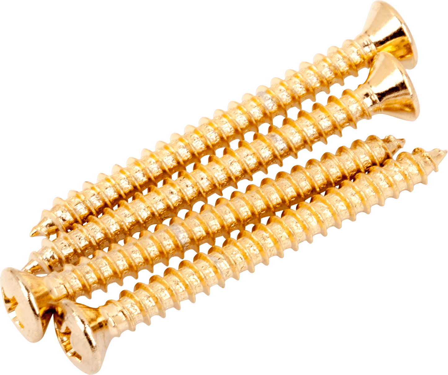 Neck Mounting Screws (4)