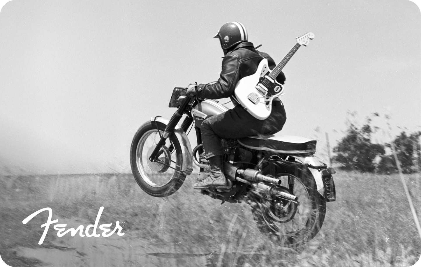Fender Digital Gift Card